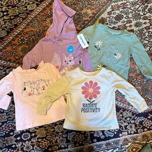 Long sleeve 18 month shirts